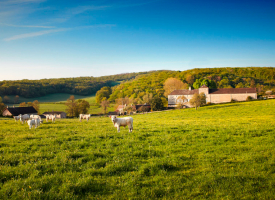 DOMAINE DU CHÂTEAU DE MESSEY