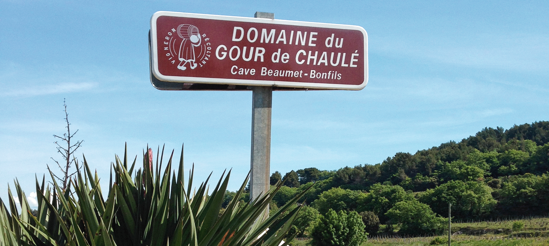 DOMAINE GOUR DE CHAULÉ