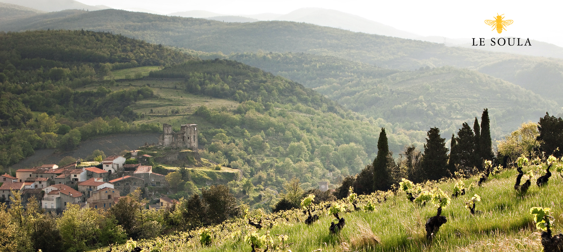 LE SOULA