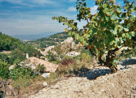 RHÔNE