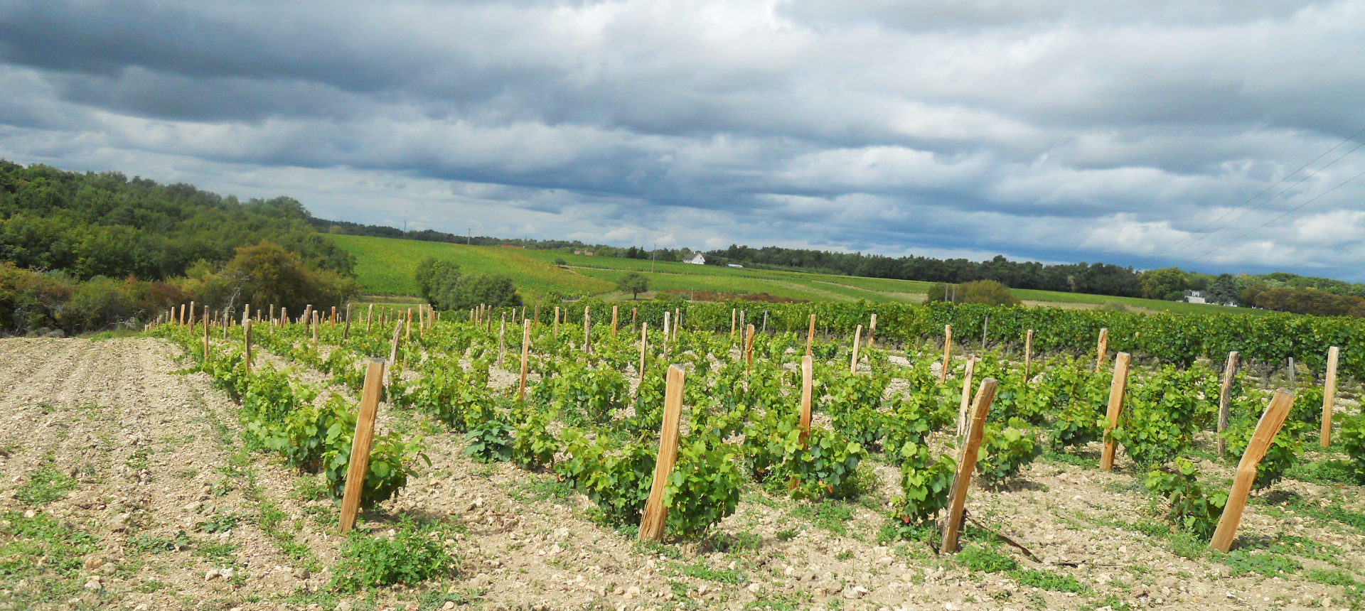 DOMAINE TARDIEUX-GAL