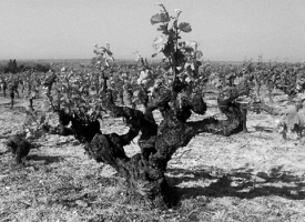 VINDISTRIKT SMAGEKASSER