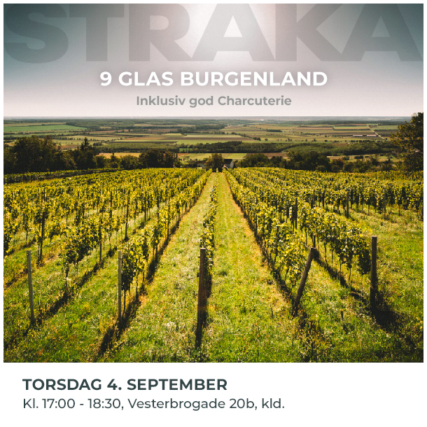 9 GLAS BURGENLAND