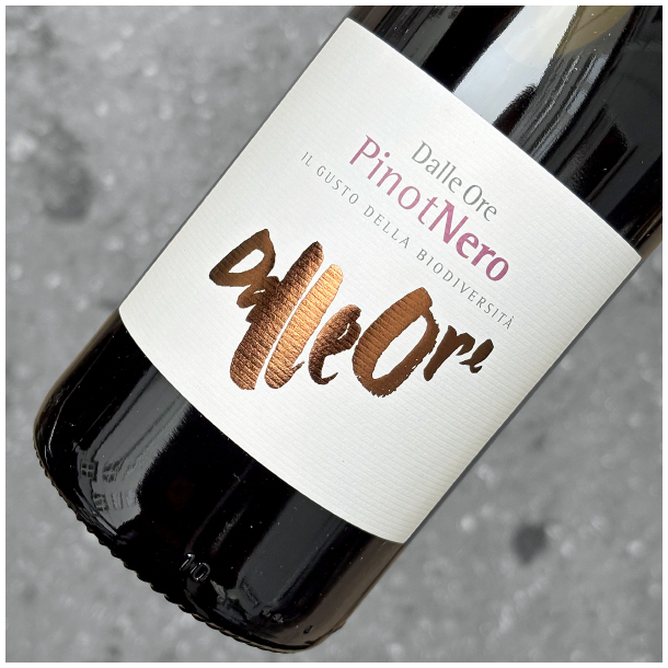 DALLE ORE - IGT VENETO PINOT NERO 2023