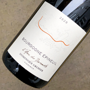 GRUHIER -BOURGOGNE PINEUIL L'AME DES DANNOTS 2023