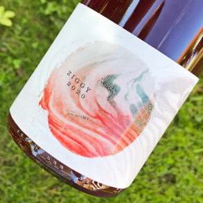 MAS ZENITUDE - ZIGGY ROS 2021