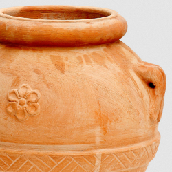 FATTORIA DI PETROGNANO - TOSCANA IGT ORCI TREBBIANO 2022