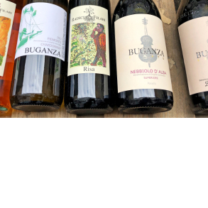 PIEMONTE SMAGEKASSEN