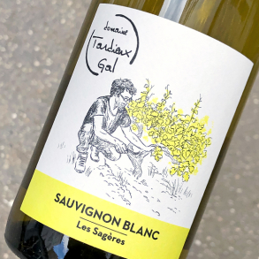 TARDIEUX-GAL - TOURAINE BLANC 2020