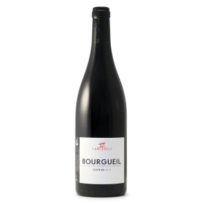 Y. AMIRAULT - BOURGUEIL COTE 50 2018